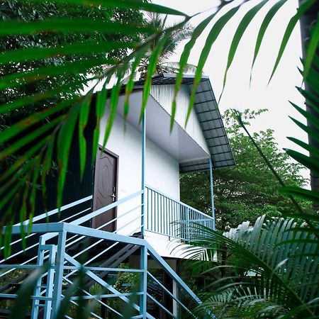 Green Aura Private Villas Sultan Bathery Bagian luar foto