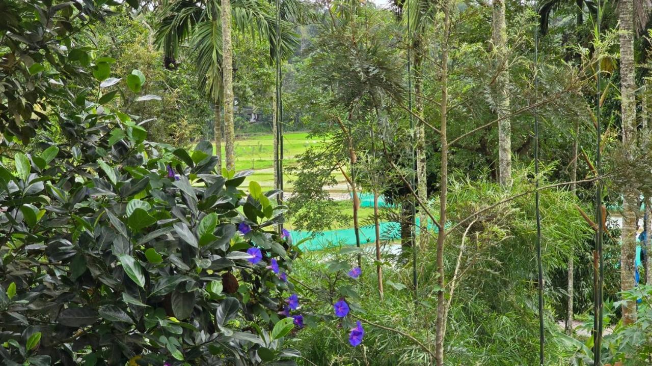 Green Aura Private Villas Sultan Bathery Bagian luar foto